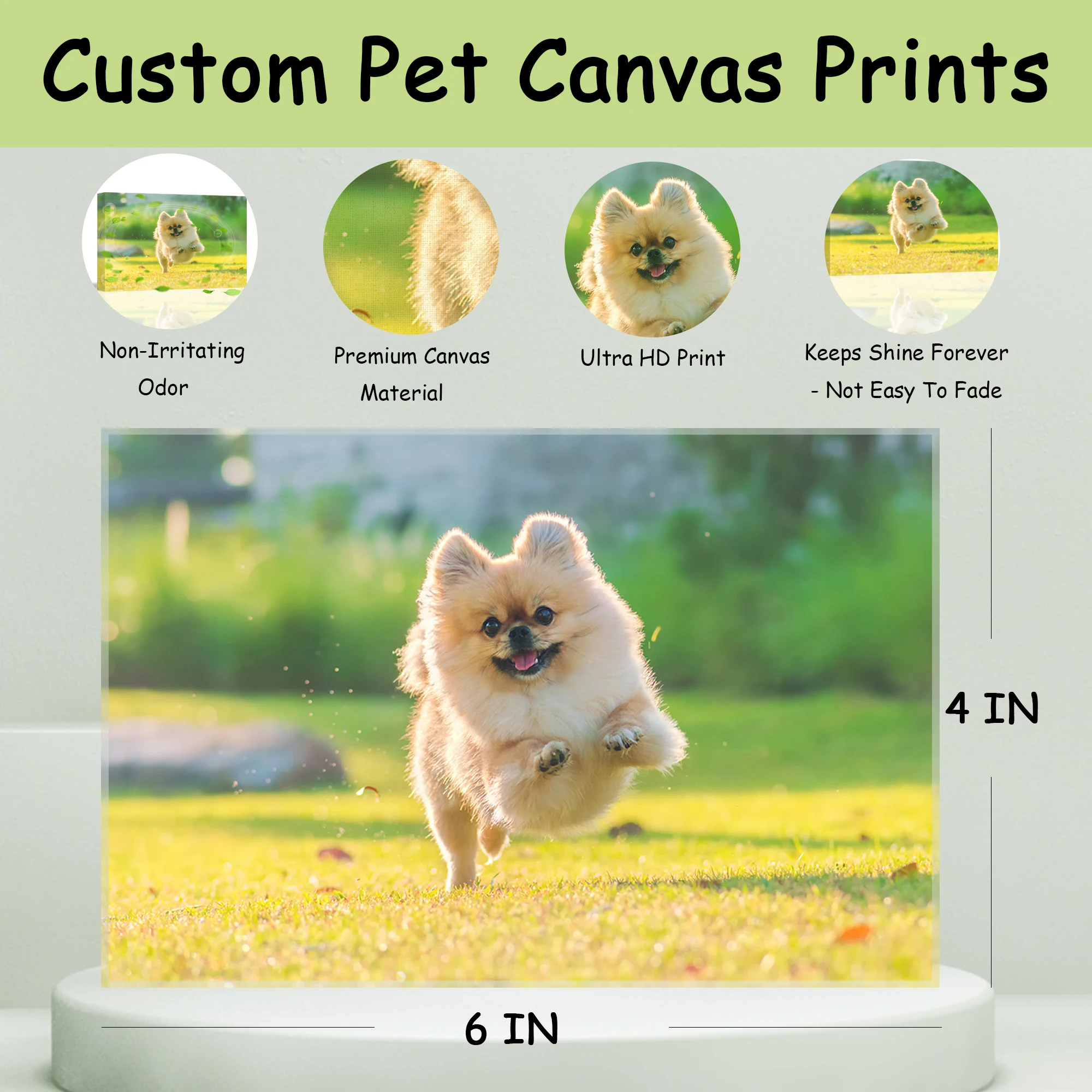 Dog Cat Paintings Prints Personalized Canvas Prints with Your Pet Dog Cat for Home Decoration