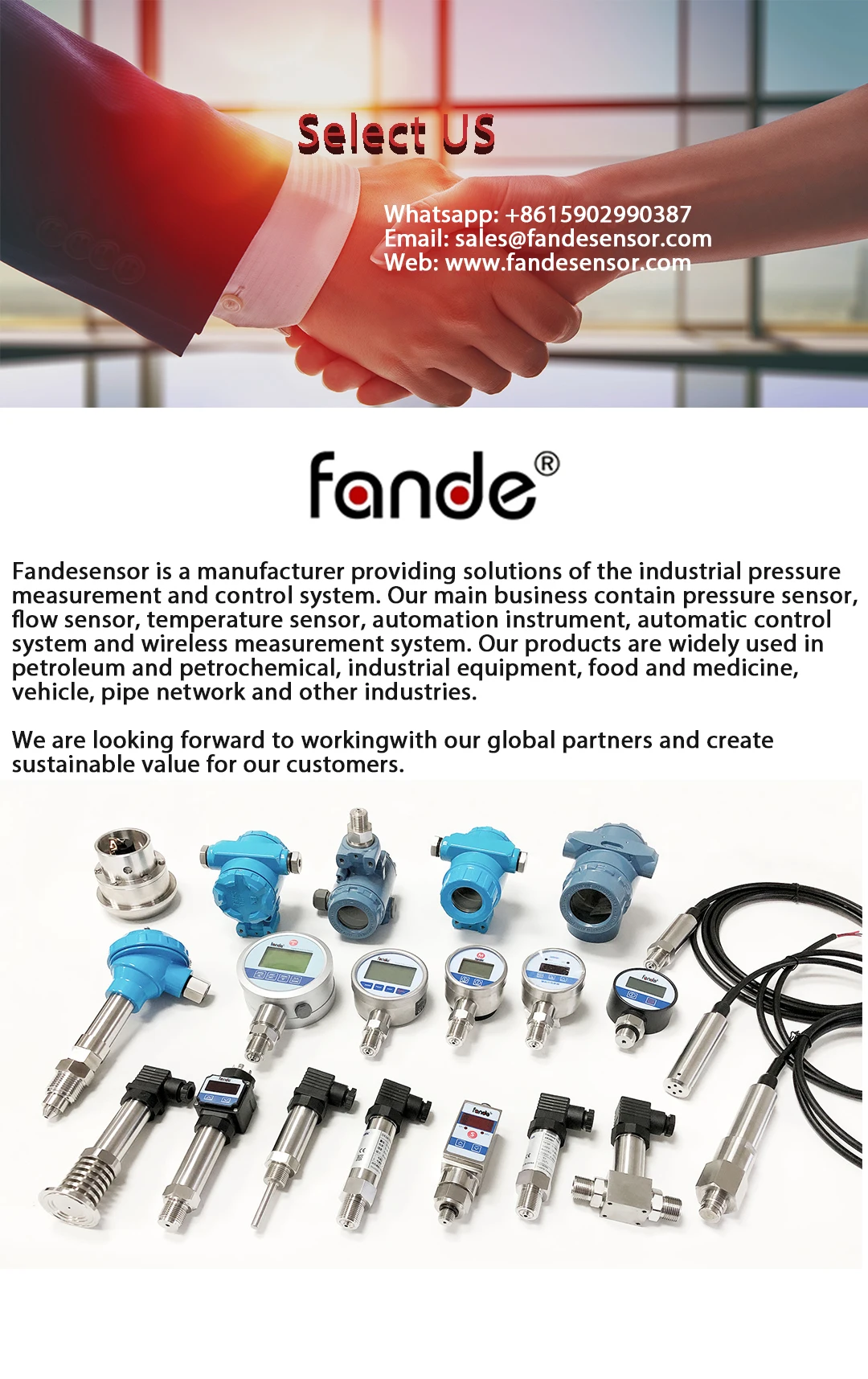 Description Picture 3 of itemHydraulic Nitrogen Pressure Test Kit Gas Charging Tools with 1 Gauges 4 Type Adapters 25 Mpa 3600 PSI