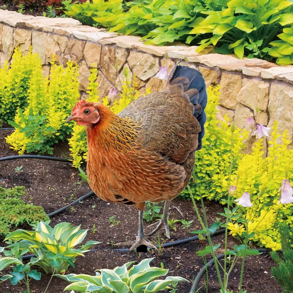 Slide image c5fa8b16f57b499cb6998f4d424e0bf8