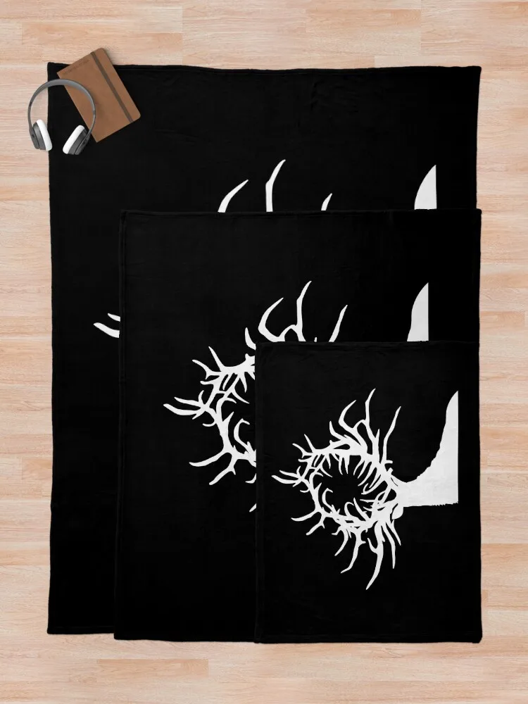 �׸��ڿ� �� �罿 ������ ���, ���� ���, ���� ���