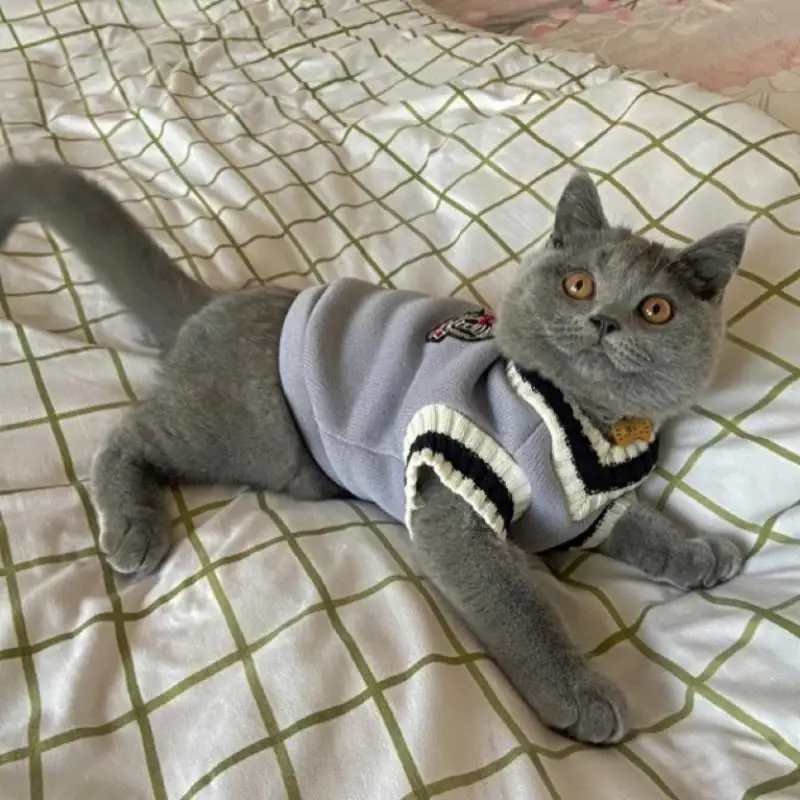 Pet Solid Costume Cat Clothes Autumn Winter Jacket Christmas Sweater for Small Dog Cats Kitten Clothing Puppy Vest Kitty Outfit pet clothes