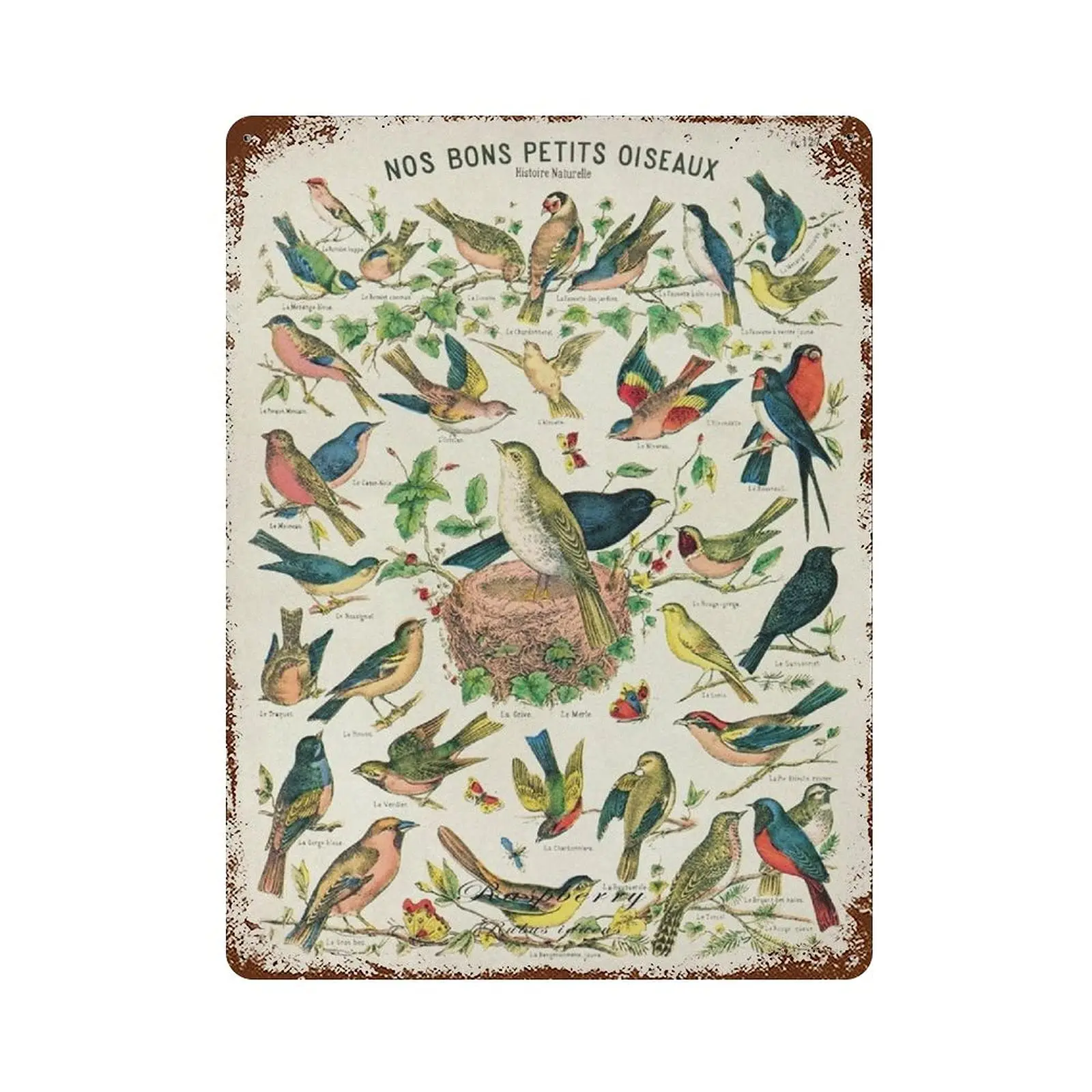 

PPFINE Bird Ornithology French Bird Metal Sign Vintage Movie Tin Plaque Signs Retro Wall Decor Aluminum Poster Sign Bar Cafe Vid