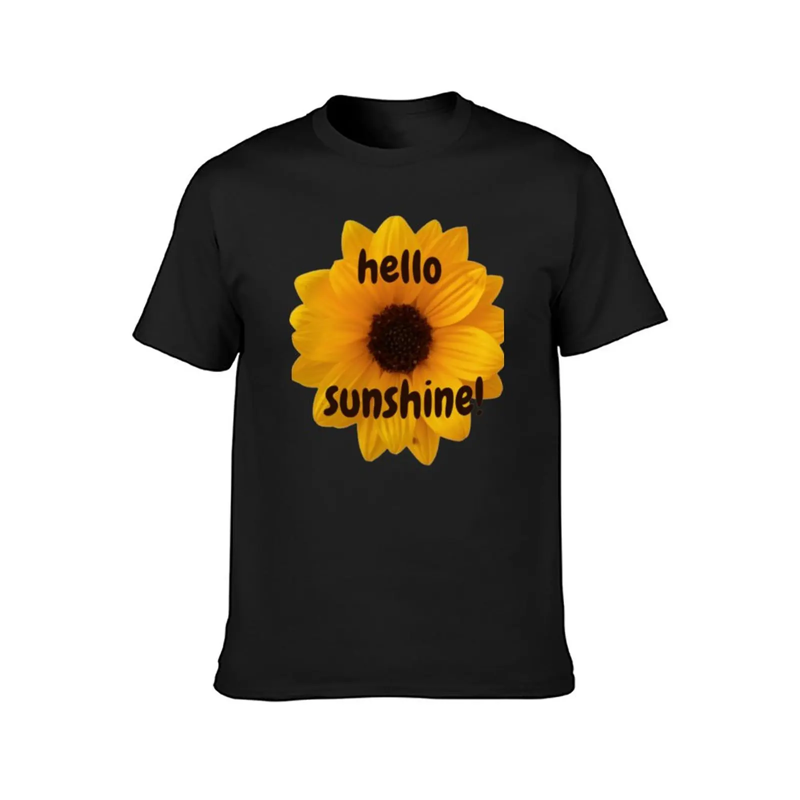 Hello sunshine  ũ Ű ū Ƽ, Ϳ ִϸ̼ , ִ  