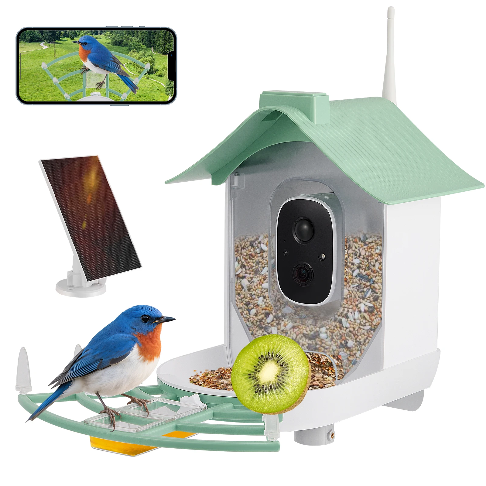 Karmnik dla ptaka z kamerą solarną z EU za $85.98 / ~309zł