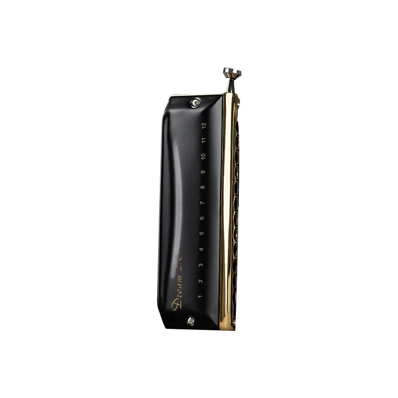 New Chromatic Harmonica T1248 12 Hole 48 Tone ABS Comb A,C,G,D,Bb Key Mouth Professional Sound Music Instruments