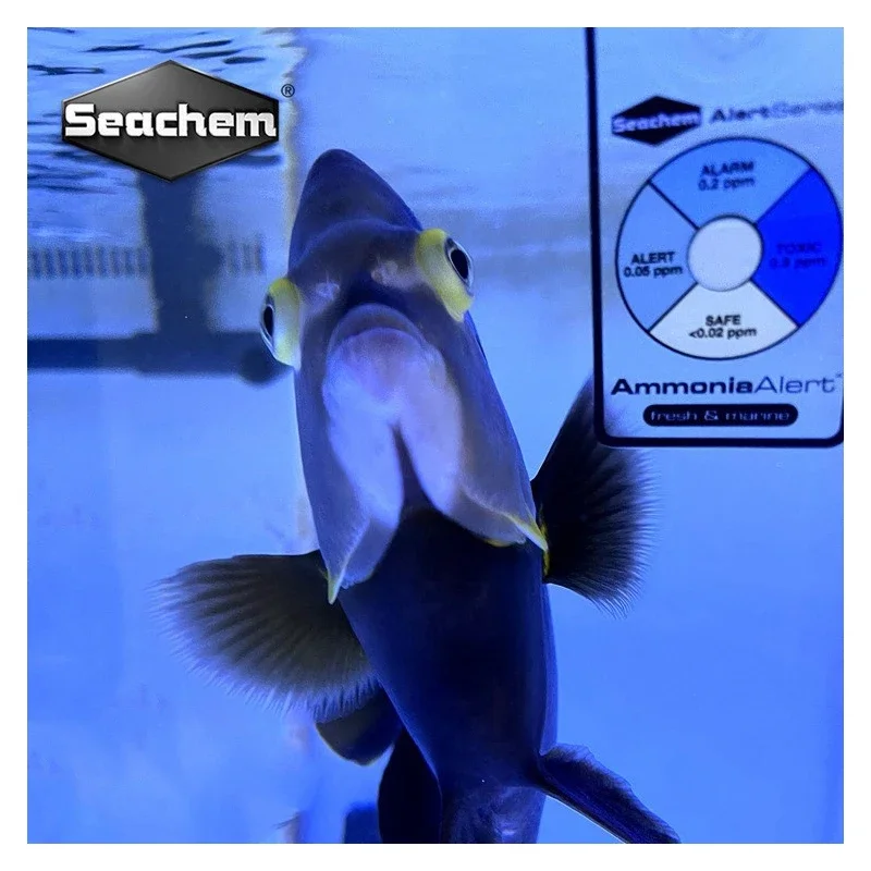 Seachem Water Testing PH Alert Ammonia Alert NH3