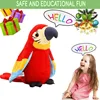 Talking Parrot Plush Pal Repeat What You Say Macaw Stuffed Animal Electronic Record Interactive Animated Bird Shake Wings 4