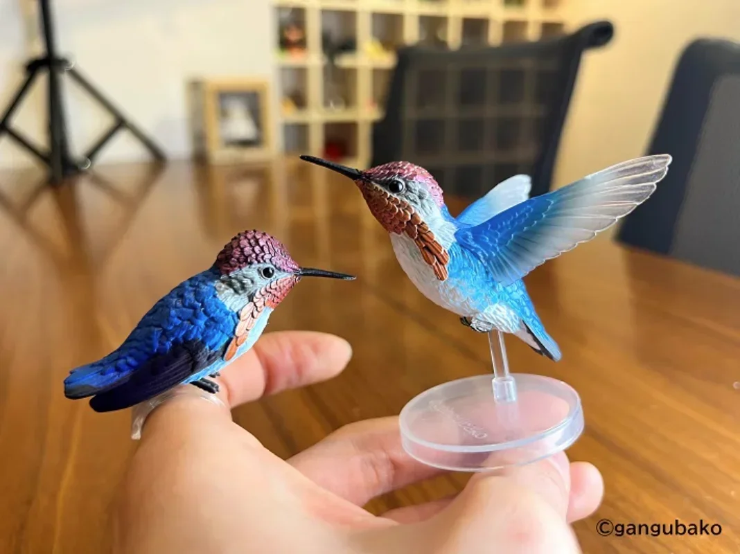 SO-TA Original Gashapon Capsule Toys Kawaii Cute simulato Bird