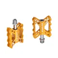 N13 gold