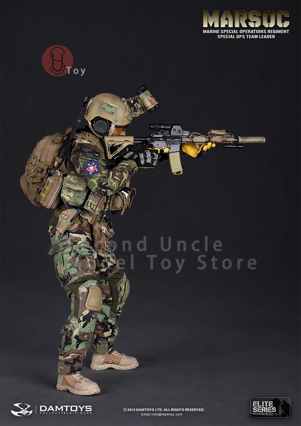 DAMTOYS DAM78006 1/6 MARSOC Marine Corps Special Operations Unit