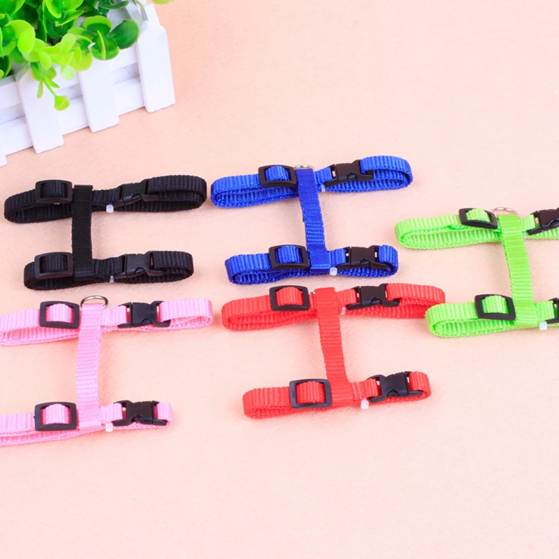 Cat & Dog Walking Leash 3