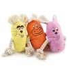 Squeaky Dog Toy Dogs Chew Toys for Small Large Dogs Breed Aggressive Chewers Puppy Teething Plush Toys Pet Products 1