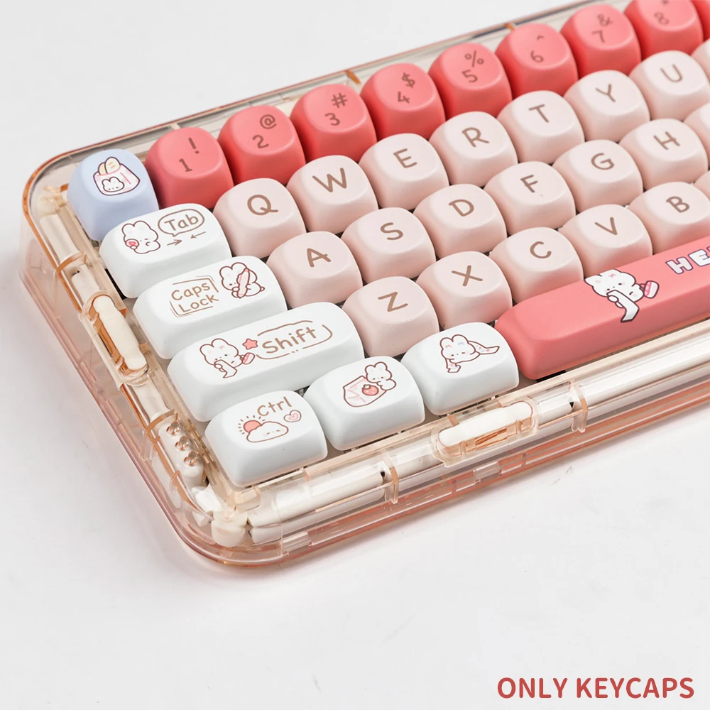 140 Ű SOA   䳢 ׸ Űĸ,  PBT  ȭ,  Ű  Űĸ ŰƮ