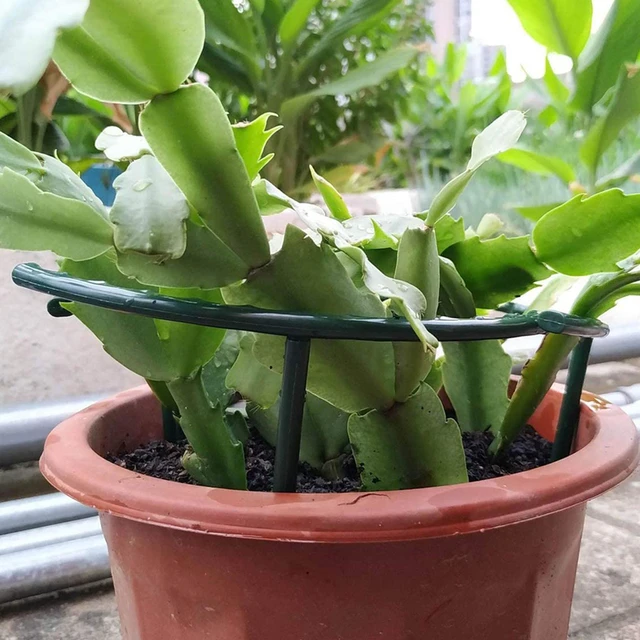 6/2 db Kerti Növényi Tartó Ketrec Plie Műanyag Virágállvány Félkör Üvegházhatású Gyümölcsös Rögzítő Rúd Kert Bonsai Szerszámok - Image 5