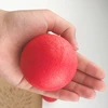 Hard Solid Rubber Balls for Dog Bite Resistant and Indestructible Dog Training Ball Pet Chew Play Fetch Bite Toy TPR Bouncy Ball 5