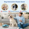 2-Layers Dog Puzzle Toys Slow Feeder Food Dispenser Interactive Increase Puppy IQ Anti-Choking Tableware Dog Licking Plates 6