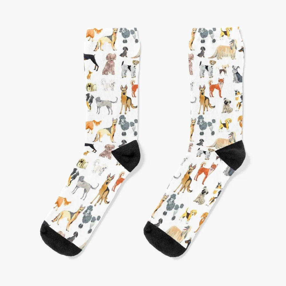 Favorite Dog Breeds Socks Women'S Socks High