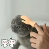 Cat Novelty Toys Teasing Cat TPR Soft Finger Gloves Funny Mini Hands Creative Finger Toys Fake Hand Cat Interactive Toys 4