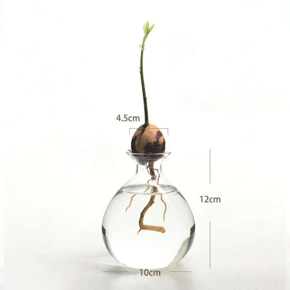Avocado Hydroponic Vase Simple Transparent Seed Starter Vase Glass Plant Vase Aromatherapy Bottle Seed Growing Kit Gift