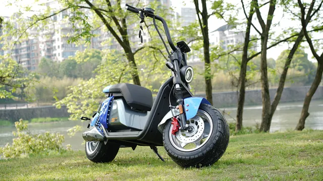 Hot sale electric motorcycle S701 citycoco off road electric