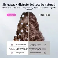 Secador de pelo iónico portátil rápido 3