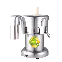WF-A3000 Electric Professional Slow Juicer Extractor Machine For Fruit Orange Squeezer Juicer Blender Stainless Steel 2