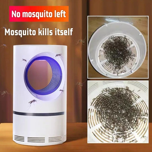 Attrape-Mouche, Lampe Anti Moustique, USB Attrape-Mouche Mosquito  Repellent, 180°Lumière Tueuse de Moustiques pour La Chambre à Coucher, La  Cuisine
