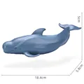 Ocean Animal-03