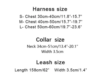 Laisse, Collier et Harnais en Nylon Pawcci pour Chiens - 2025 - Doglovedesign : Vêtement et accessoires pour chiens