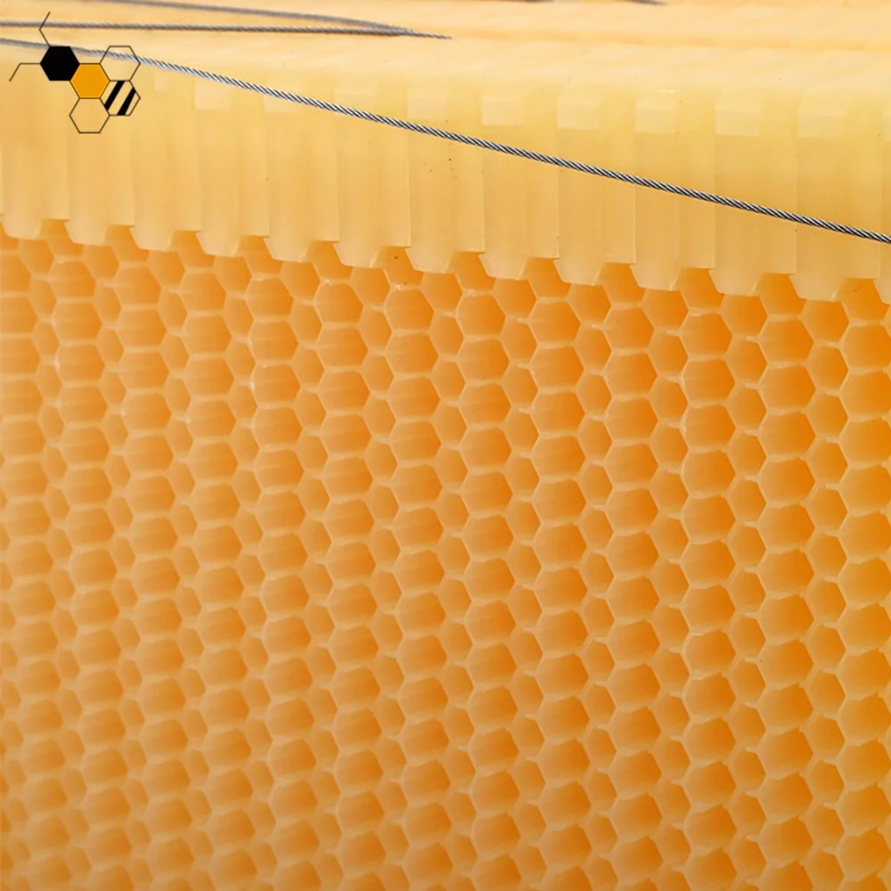 Beekeeping Beehive Frame Bee Hive Frames Auto Honey Flowing Bee Frames
