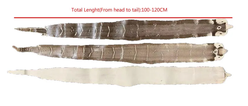 Description Picture 3 of itemArtificial Rearing Nature Genuine Ture Snake Skin Leather Raw Material Whole Piece