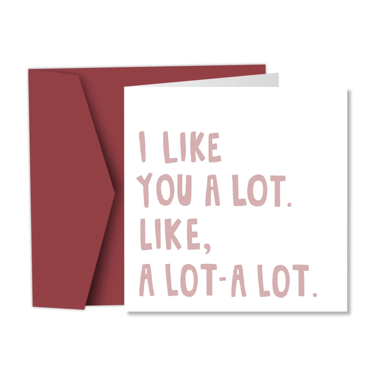 Charming 'I Like You A Lot' Greeting Card with Envelope - Cute Love & Friendship Card