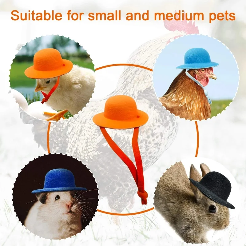 Chicken Helmet,Chicken Toys Accessories,Chicken Decoration Chicken Hat For Hens Tiny Pets Funny Chicken Accessories Hen Top Hat For Rooster Duck Parrot Hamster Poultry Stylish Show Costum