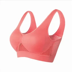 Seamless Mesh Women's Shockproof Fitness Sports Bra - Wireless, Breathable, Plus Size Crop Top - 3XL (Rose red)