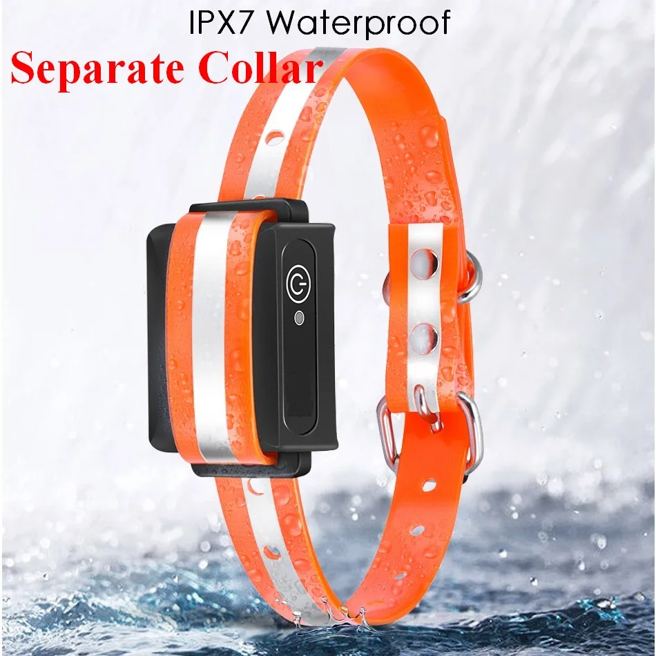 Separate Collar