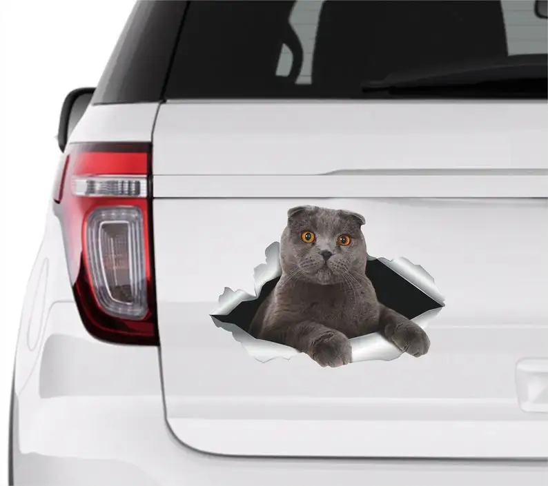 

Scottish sticker Scottish car decal British cat Cat car stickers Planner sticker Cat decal Vinyl decal Car accessories Gray cat