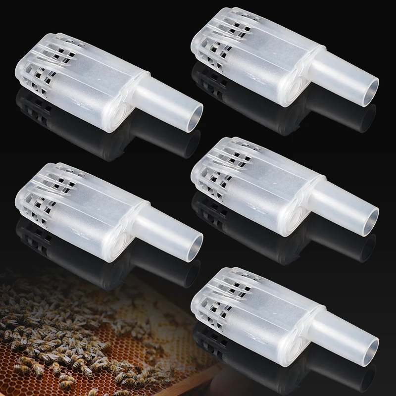5/10Pcs Queen Bee Cages Beekeeping Protection Queen Bee Isolation Plastic White Move Beekeep Equipment Beekeeping Tool