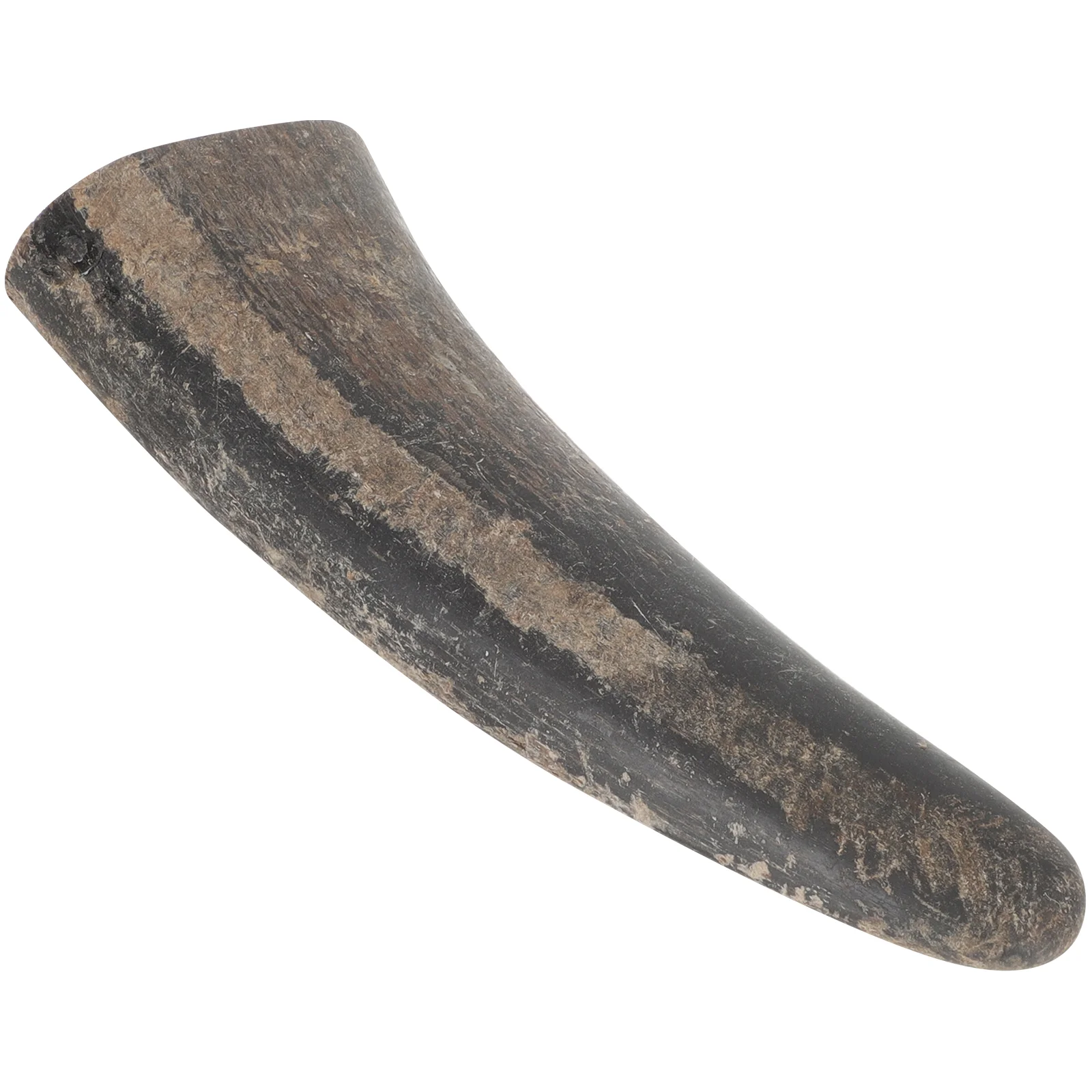 Are Bull Horns Good For Dogs