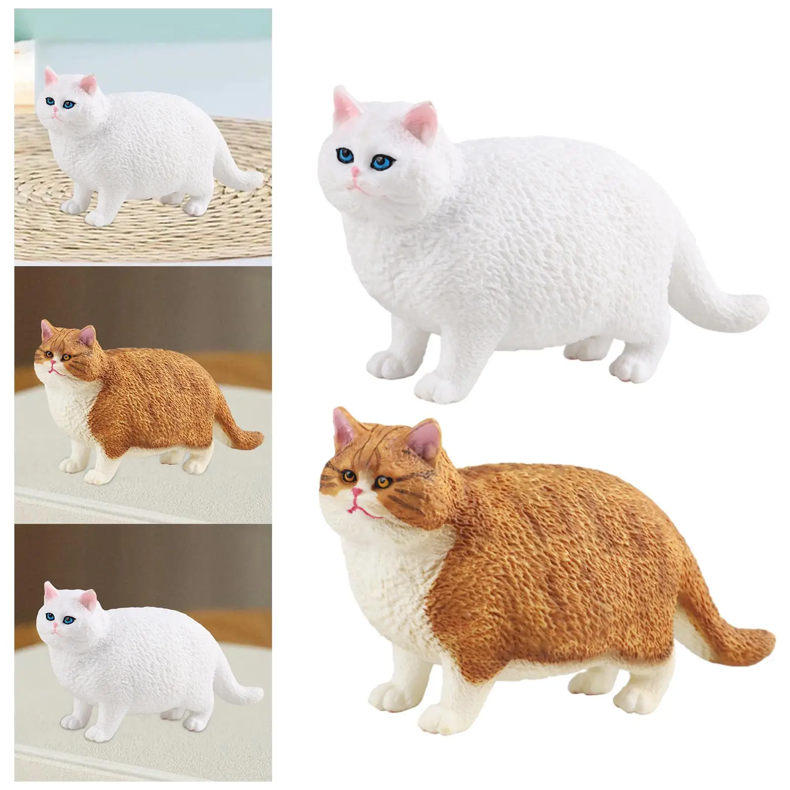   Ի  峭   ̴Ͼó å ,  ȣ ڴ  Ƽ 