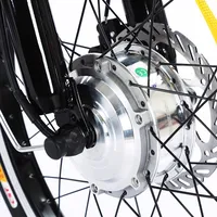 Tricycle électrique à 3 roues pour batterie au lithium 350W, 48V, 7 vitesses, 20 pouces, vélo cargo pour hommes adultes avec panier côtelé 4