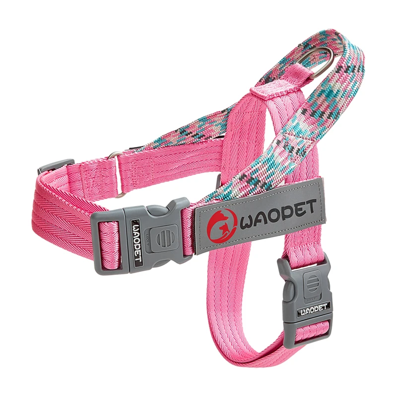 Durable No-Pull Nylon Dog Harness with Creative Flat Rope Design