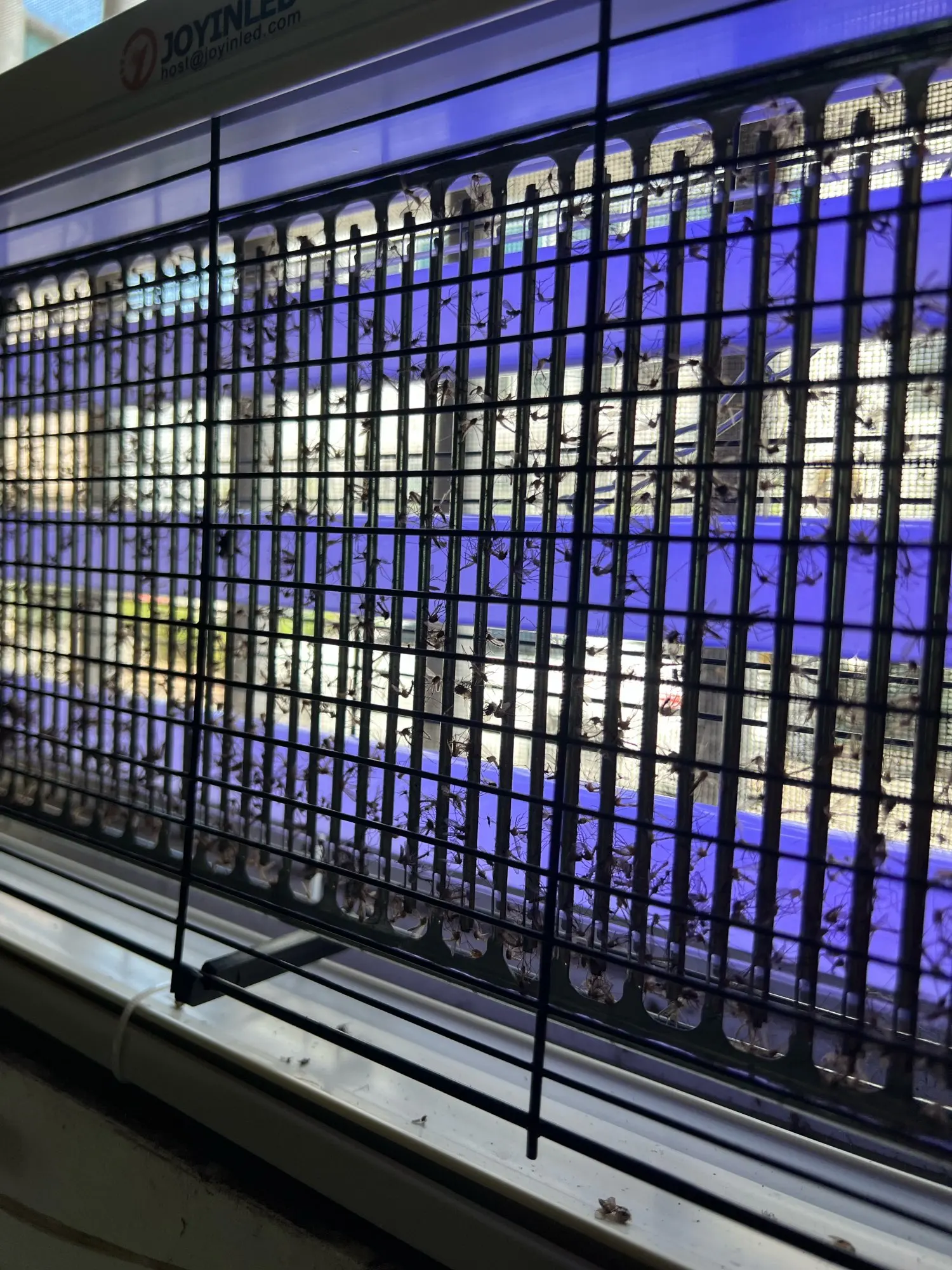 קטלן יתושים חשמלי UV — מחסל יתושים ומעופפים בשקט, בלי כימיקלים ובלי ריח - תמונה 5