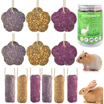 Natural Edible Dental Chews for Small Pets 1