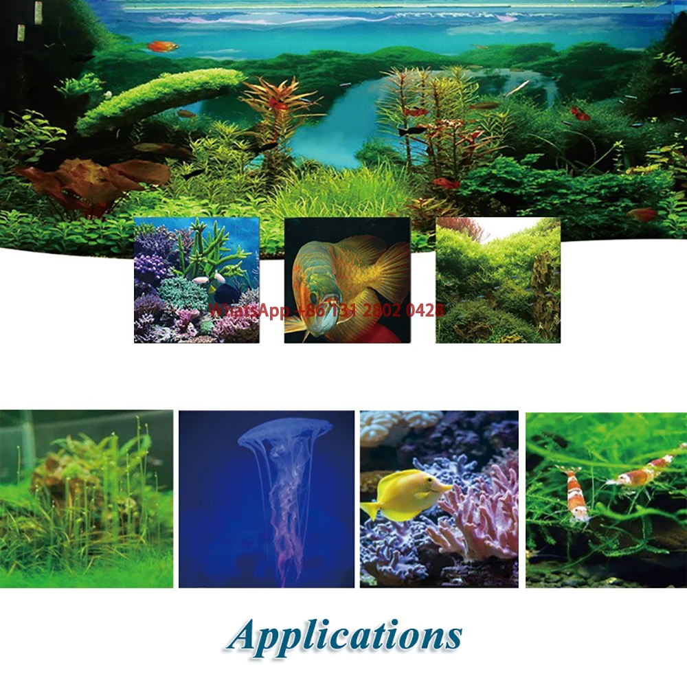 35L 60L 160L 300L 500L Marine Tank Chiller Water Cooling Machine Suitable Aquarium for Reef Coral Jellyfish Shrimp Water Plants 5