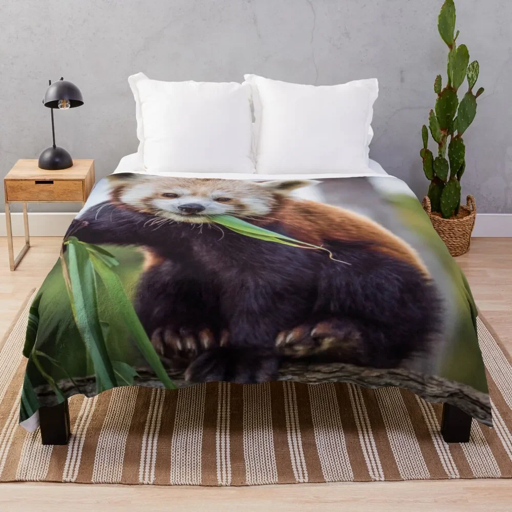 

Red Panda Throw Blanket Fluffys Large Beach decorative Blankets