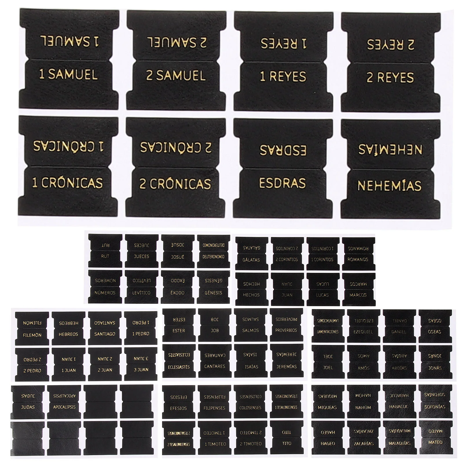 

80 Pcs Bible Labels Men's and Women's Study Index Book Tab Tabs for Boy