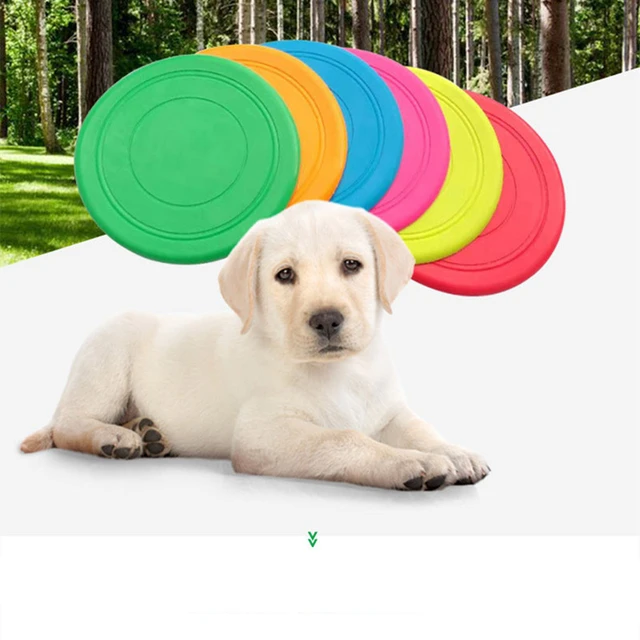 extraer atención vacío Juguetes interactivos de goma EVA para perros, resistencia flotante,  mordedura de goma suave, productos de entrenamiento para cachorros, discos  voladores, 1 unidad _ - AliExpress Mobile