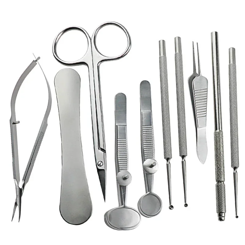 

1Set Ophthalmic Meibomian Flap Eyelid Forceps Clip Eye Apparatus Massage Tweezers Eyelid Granuloma Surgery Tools Kit