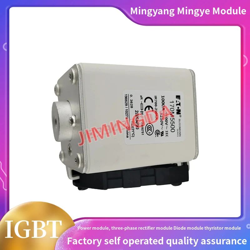 

Original fuse170M5538 170M5539 170M5540 170M5558 170M5559 170M5560 170M5561 170M5562