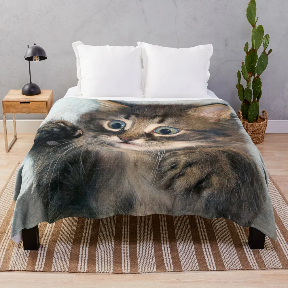 

Kitten Throw Blanket Comfort Recieving Blankets Extra Large Blanket Blanket For Giant Sofa